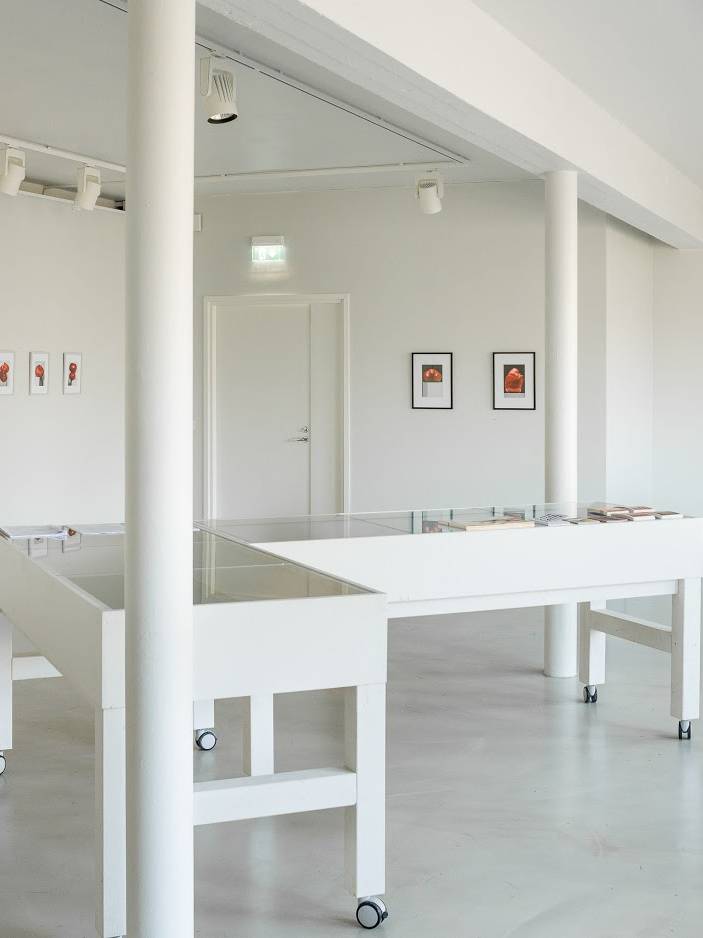 Galleria Pictor -sivulle