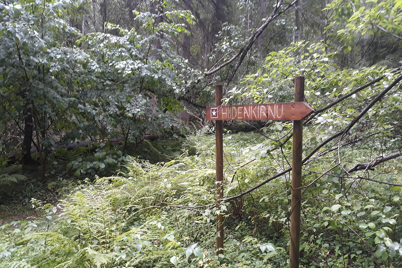 A sign in the forest.