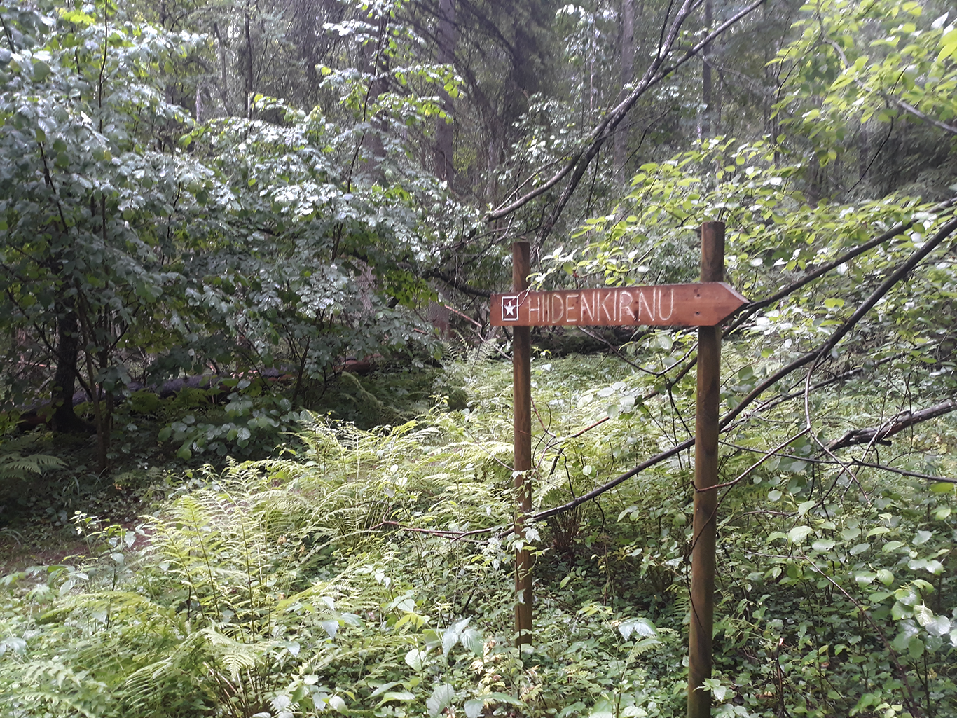 A sign in the forest.